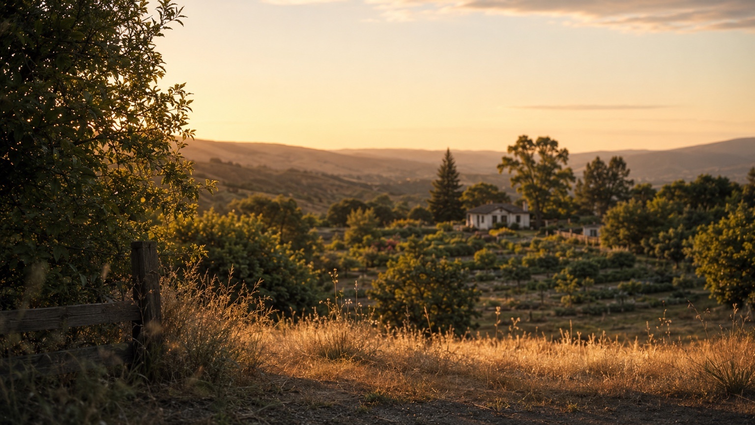 Quiet golden-hour view from the edge of a Northern California property, with a small home, mature garden, long shadows, and surrounding hills in soft evening light